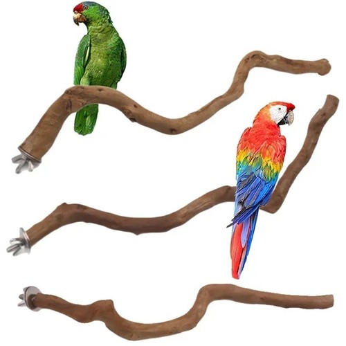Natural parrot perch bird - natural,