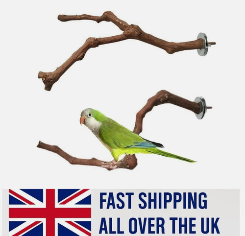 Wooden parrot bird stand - wooden,
