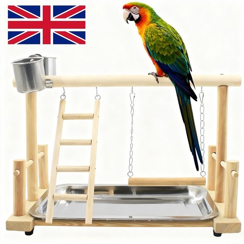Parrot playstand bird plays - parrot,