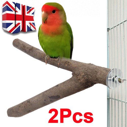Parrot bird stand tree - stand,
