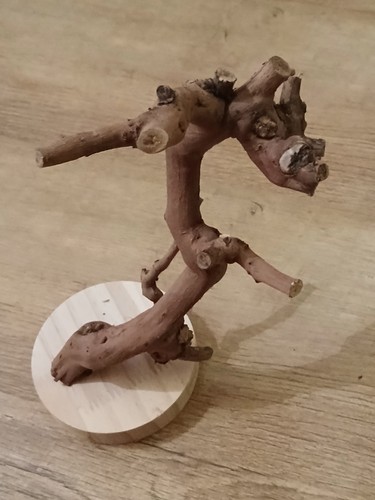Wood tiny tree bird - wood,