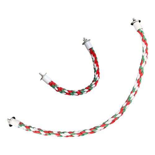 Bird rope perch parrot - bird,