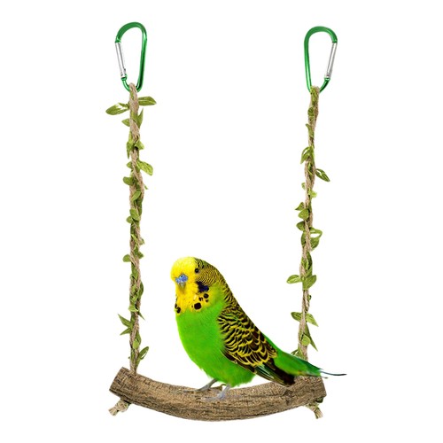 Pet bird parrot - bird, perch