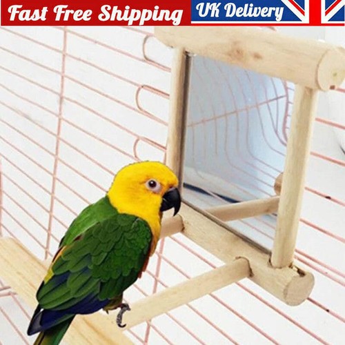 Wooden bird mirror interactive - wooden,