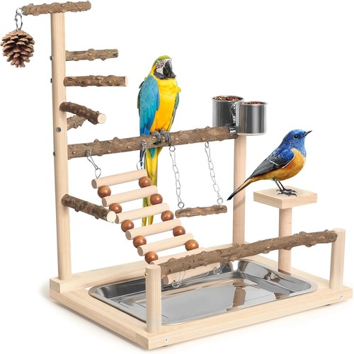 Bird perches cockatiel parrot - bird,