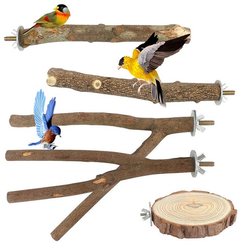 Bird perches pcs - bird,