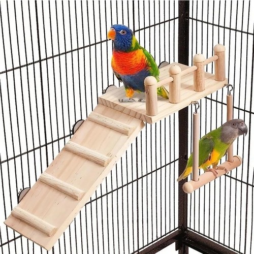 Bird trimming swing parrot - swing,