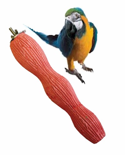 Happypet large bird parrot - large, 10"