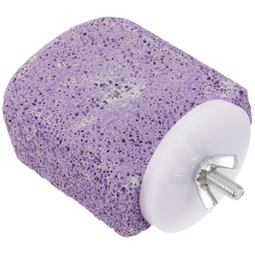 Violet durable bird - violet,