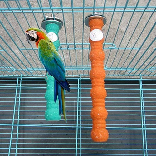 Caged bird calcium trimming - bird,