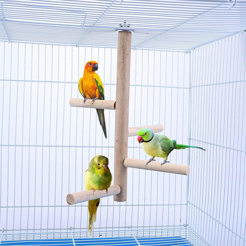 Budgie toys parrot - budgie,