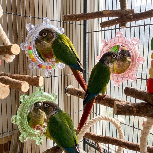 Parrot mirror toy bird - bird,