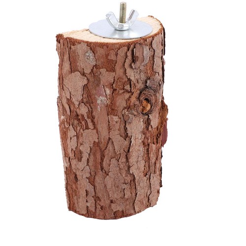 Pet parrot natural wooden - pet,