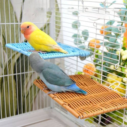 Bird resting stand - bird, parrot