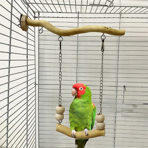 Bird swing perch - perch, wooden