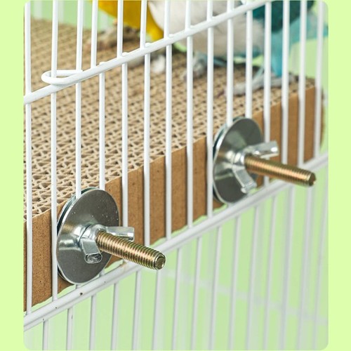 Bird paper parakeet - bird, shredding