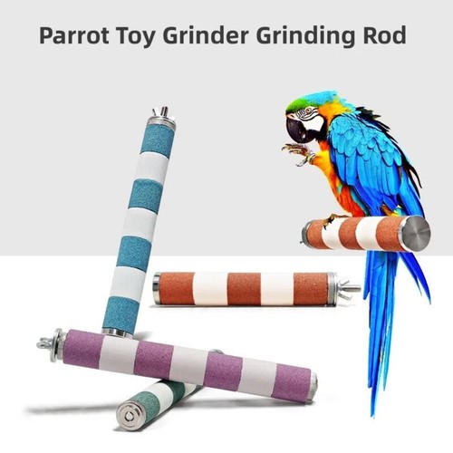 Bird claw beak grinding - grinding, bar