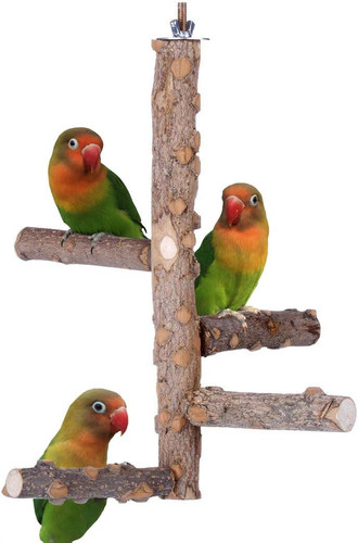 Bird perch nature wood - nature,