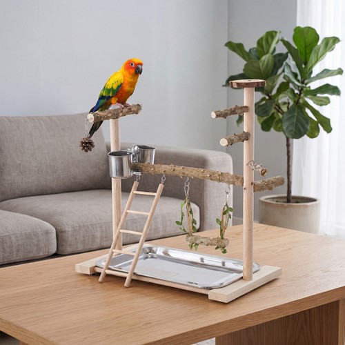 Wooden parrot play stand perch - stand,