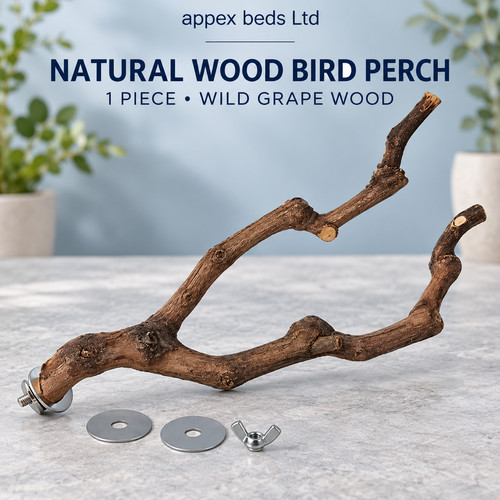 Wooden parrot bird stand tree - bird,