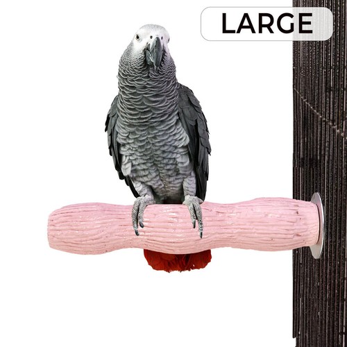 Wavy calcium edible - edible, parrot