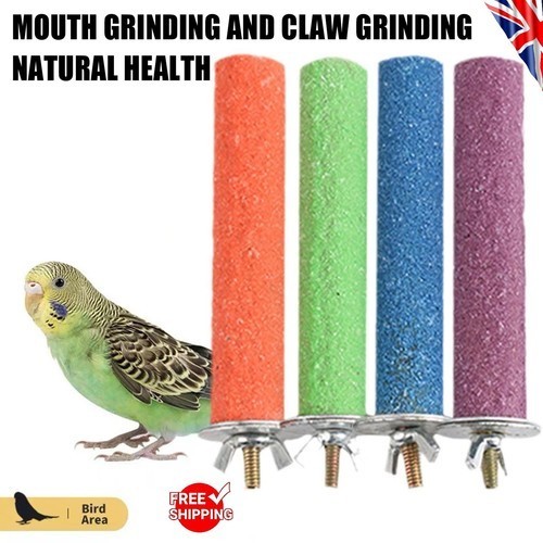 Bird perch beak claw - perch,