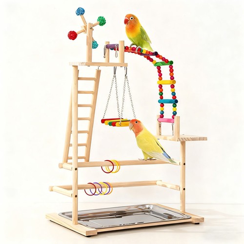 Parrot playstand bird plays - playstand,