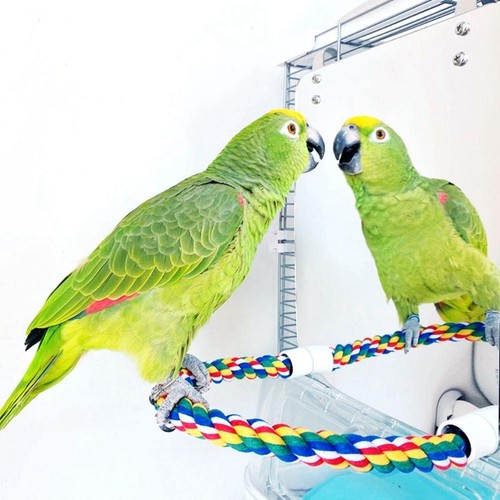Acrylic bird mirror - with, perch