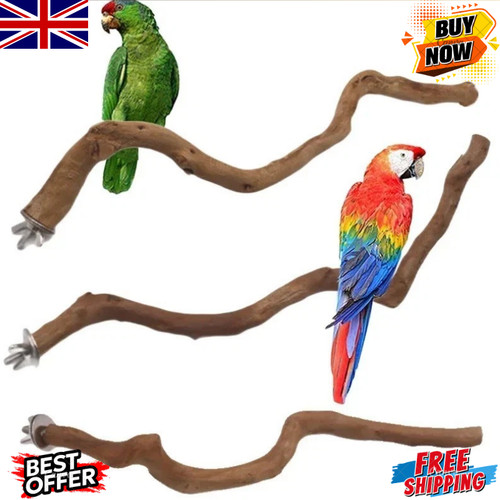 Parrot stand natural - parrot,