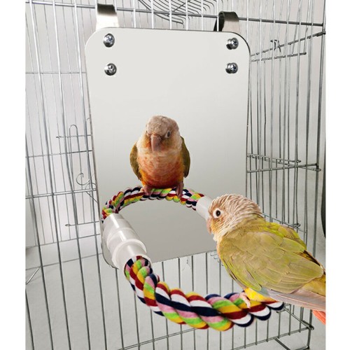 Bird large mirror with - bird, rope