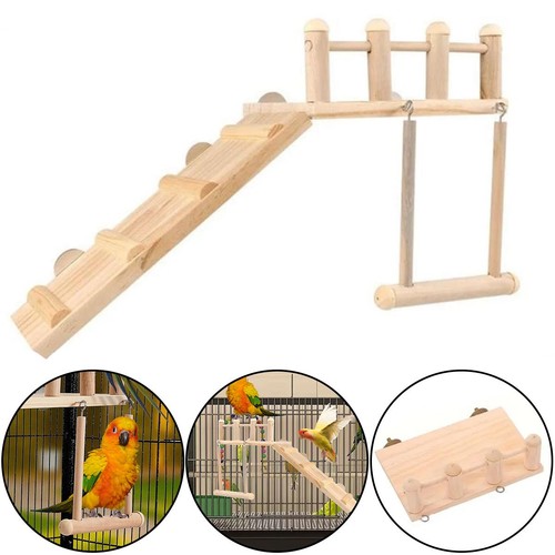 Pet cockatiel parrot bird - parrot, cage