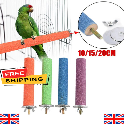 Bird perch beak claw - beak,