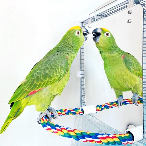 1pc cage accessories with - cage,