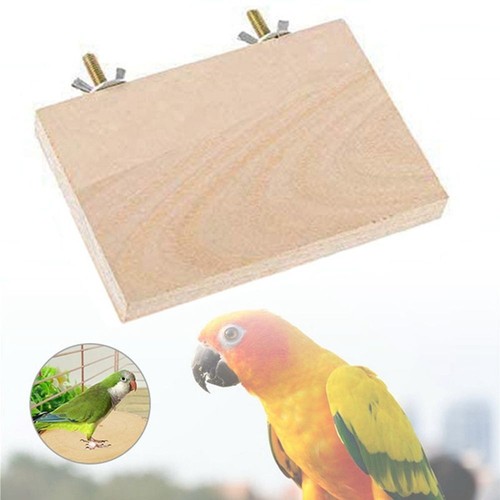 Pet parrot rack wood stand - rack,
