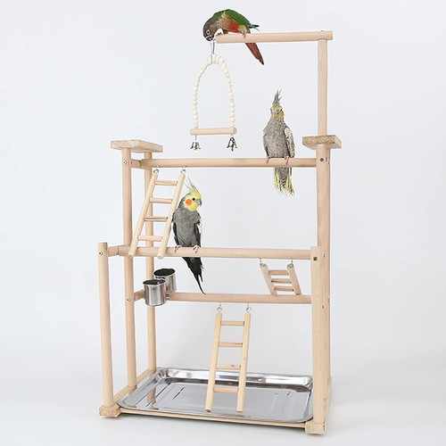 Bird perch stand toy wooden - stand, toy,
