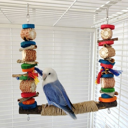 Bird swing for - swing,