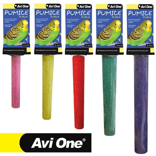 Avi one pumice - bird, perch
