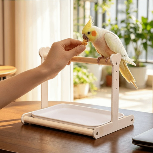 Parrot playstand bird play - playstand,
