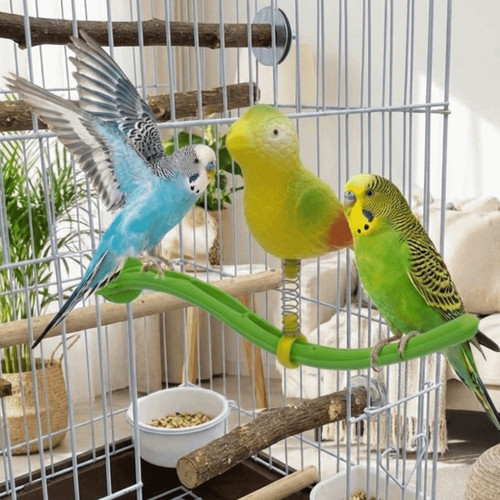 Bird perch stand spring - perch,