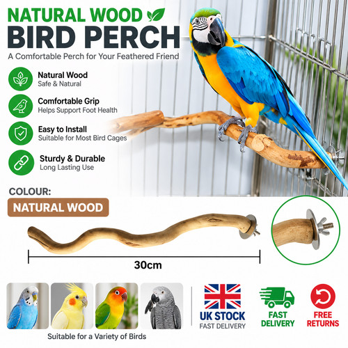 Natural wood parrot perch bird - parrot,