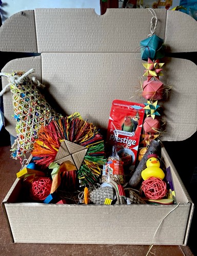 Small bird bundle - bird,
