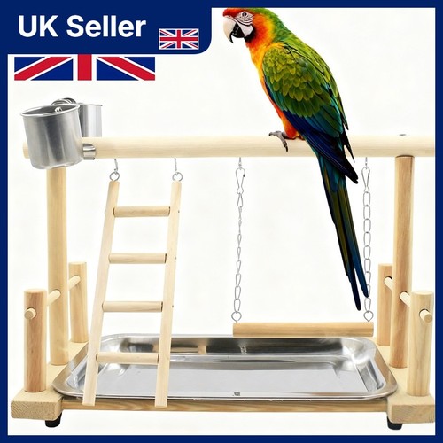 Parrot playstand bird plays - playstand,