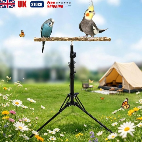 Adjustable bird perch parrot - bird,
