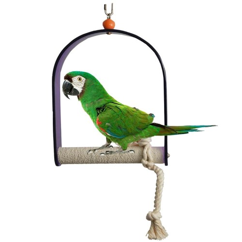 Bird trimming swing acrylic - bird,