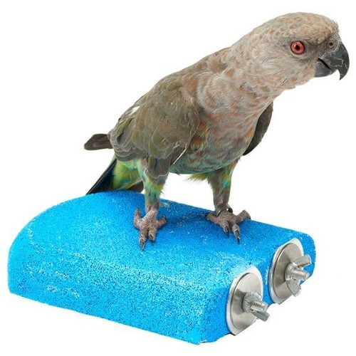 Lava ledge bird sanded - lava, shelf
