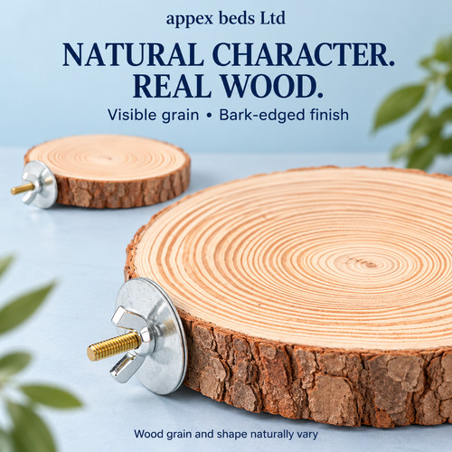 Wooden round parrot - wooden,