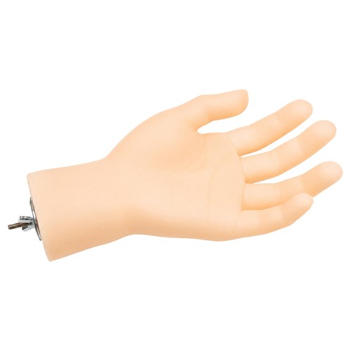 Realistic hand shape bird - shape,