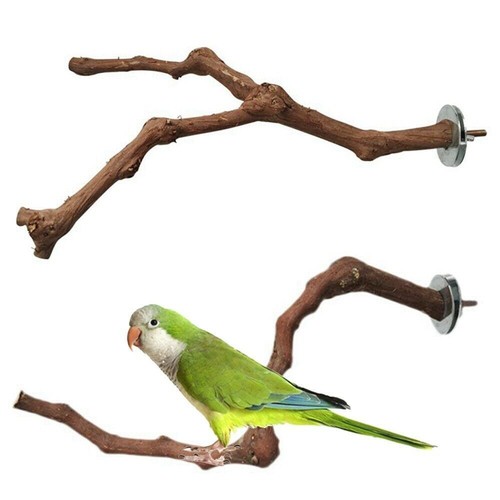 Wooden parrot bird stand - wooden,