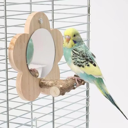 Bird mirror with perch - mirror, hanging