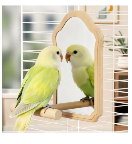 Wooden bird mirror perch - bird,